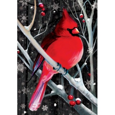 Midnight Cardinal by Gina Jane