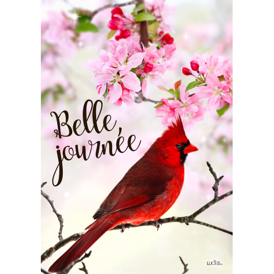   Belle Journée Available March/April/2018