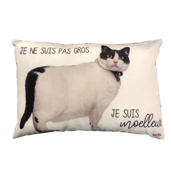 Pillow Je Ne Suis Pas Gros, Je Suis Moelleux. 