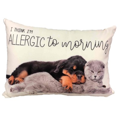  Pillow    Allergic to Morning    