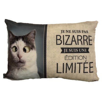 Coussin /Chat bizarre