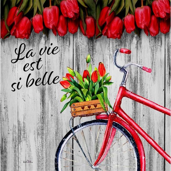  Pillow   La vie est  si belle  bicyclette -  Pre-booking hiver 2022-23 produits Lucies