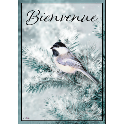 L'oiseaux dans le sapinage/Bienvenue Nouveauté-hiver -Pre-booking 2021-22