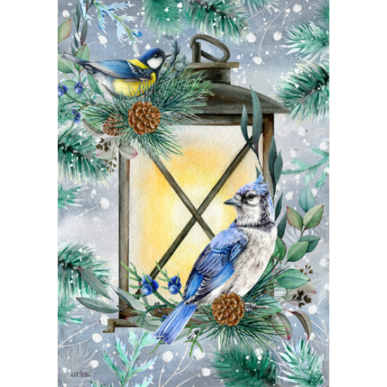 Lantern & Blue Jay -New winter -Pre-booking 2021-22