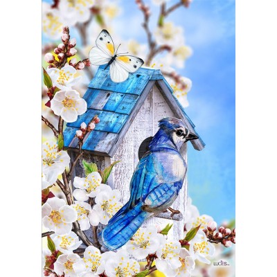Blue Jays Birdhouse