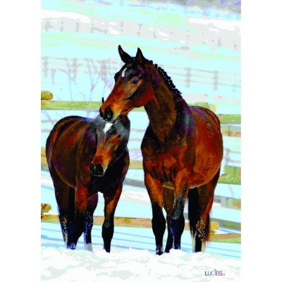 Two Winter Horses
